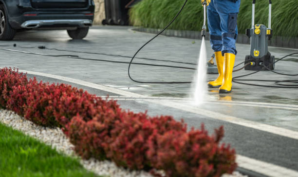 Best Soft Washing for Delicate Surfaces in Oxford, NC